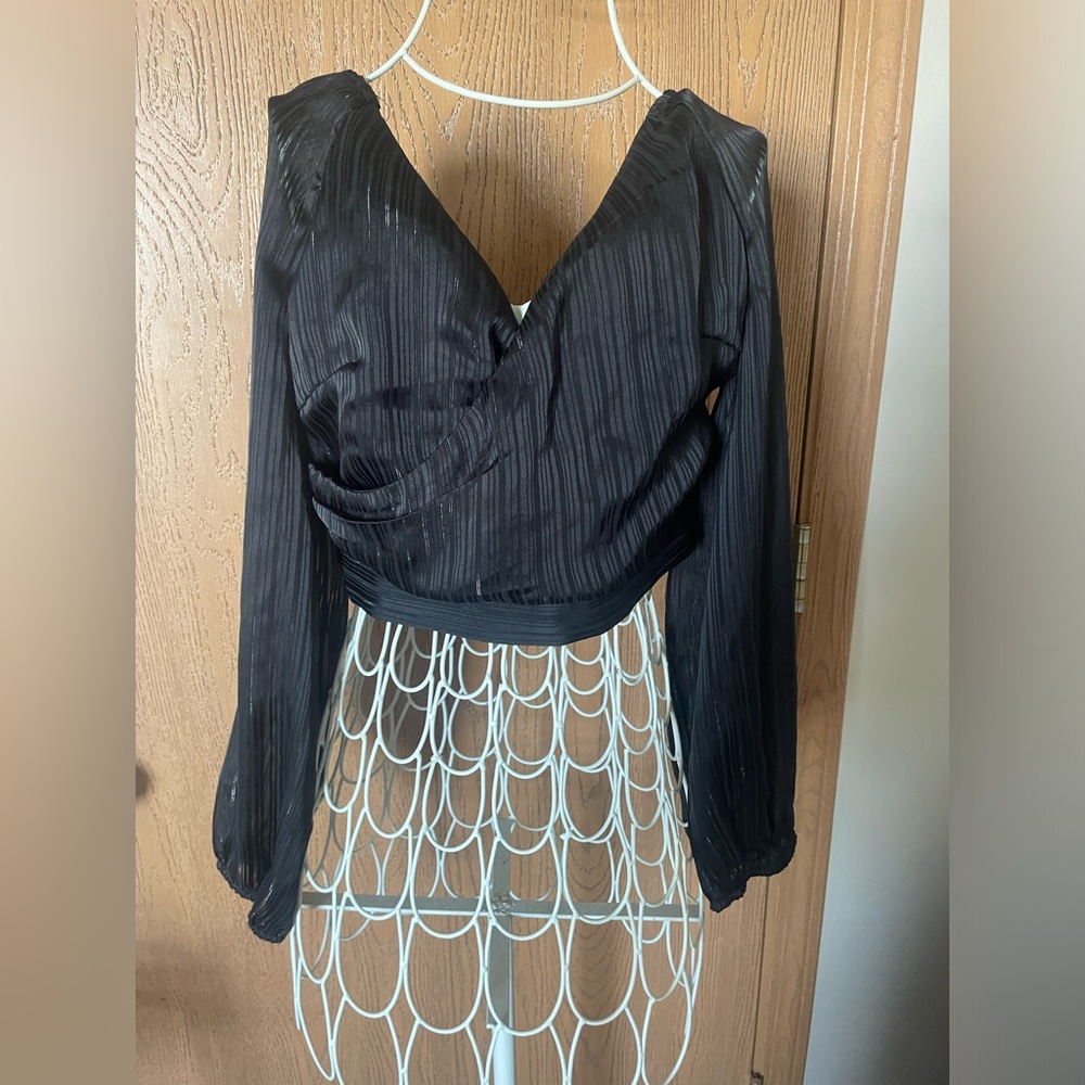 NWT Windsor Sheer Cropped Crossover V-Neck Long Sleeve Top